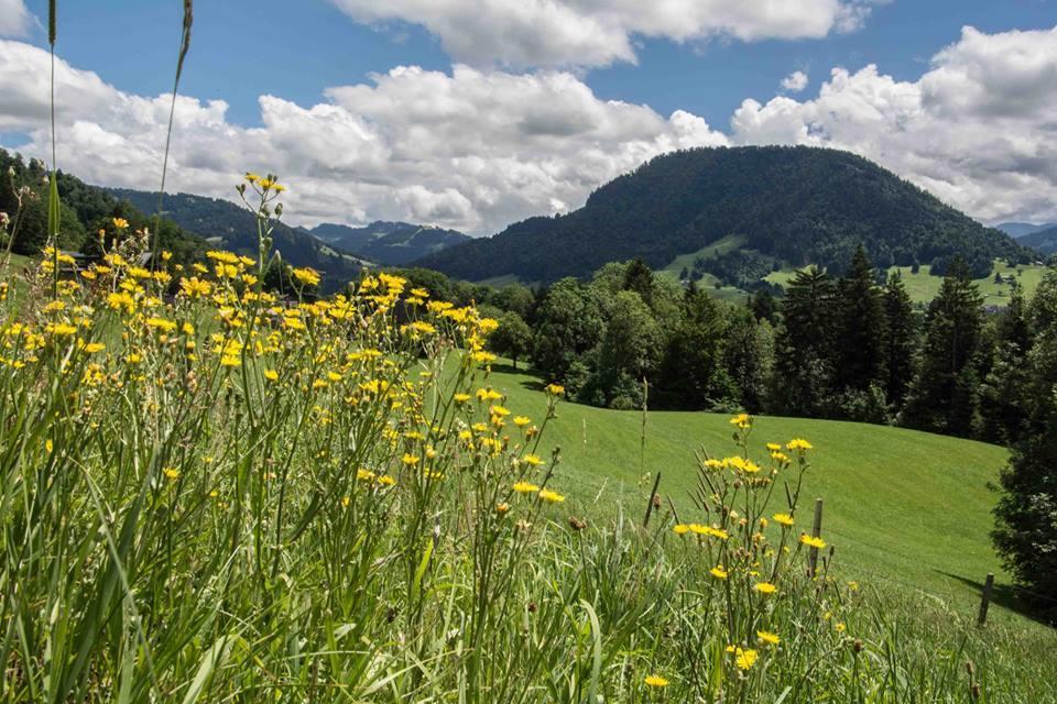 Villa Haus Hagspiel à Hittisau Extérieur photo